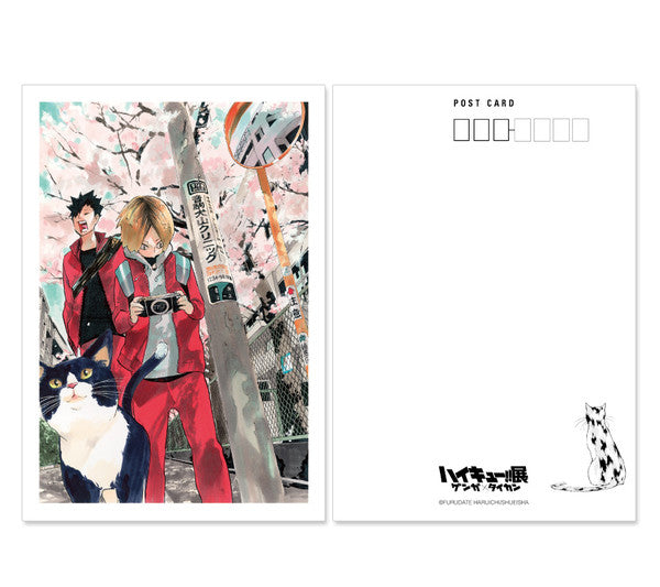 Haikyu!! Exhibition Genga ×Taycan Spring 3 Cats Postcard - Higoods