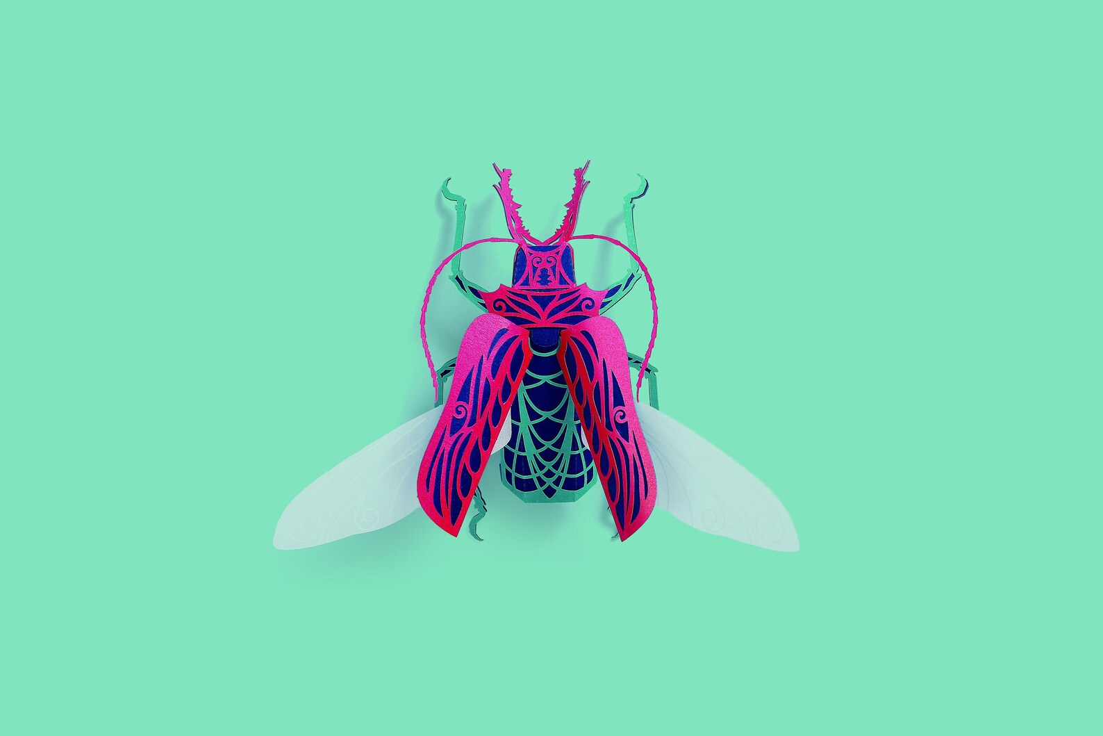 HowCat™ Macrodontia Cervicornis - Higoods