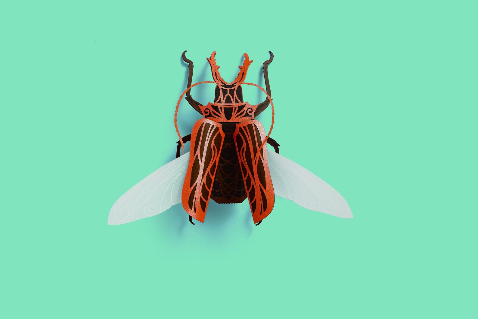HowCat™ Macrodontia Cervicornis - Higoods