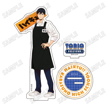 Haikyu!! The Battle of the Garbage Dump (Tobio Kageyama)