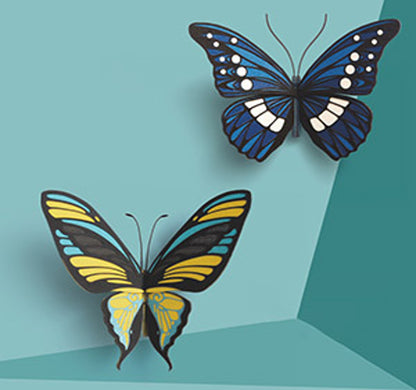 HowCat™Morpho Helena - Higoods