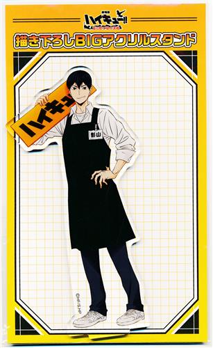 Haikyu!! The Battle of the Garbage Dump (Tobio Kageyama)