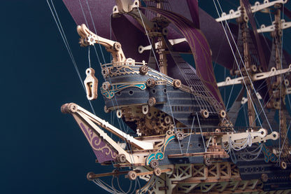 HowCat™ Pirate Ship -"Purple Futurama" - Higoods