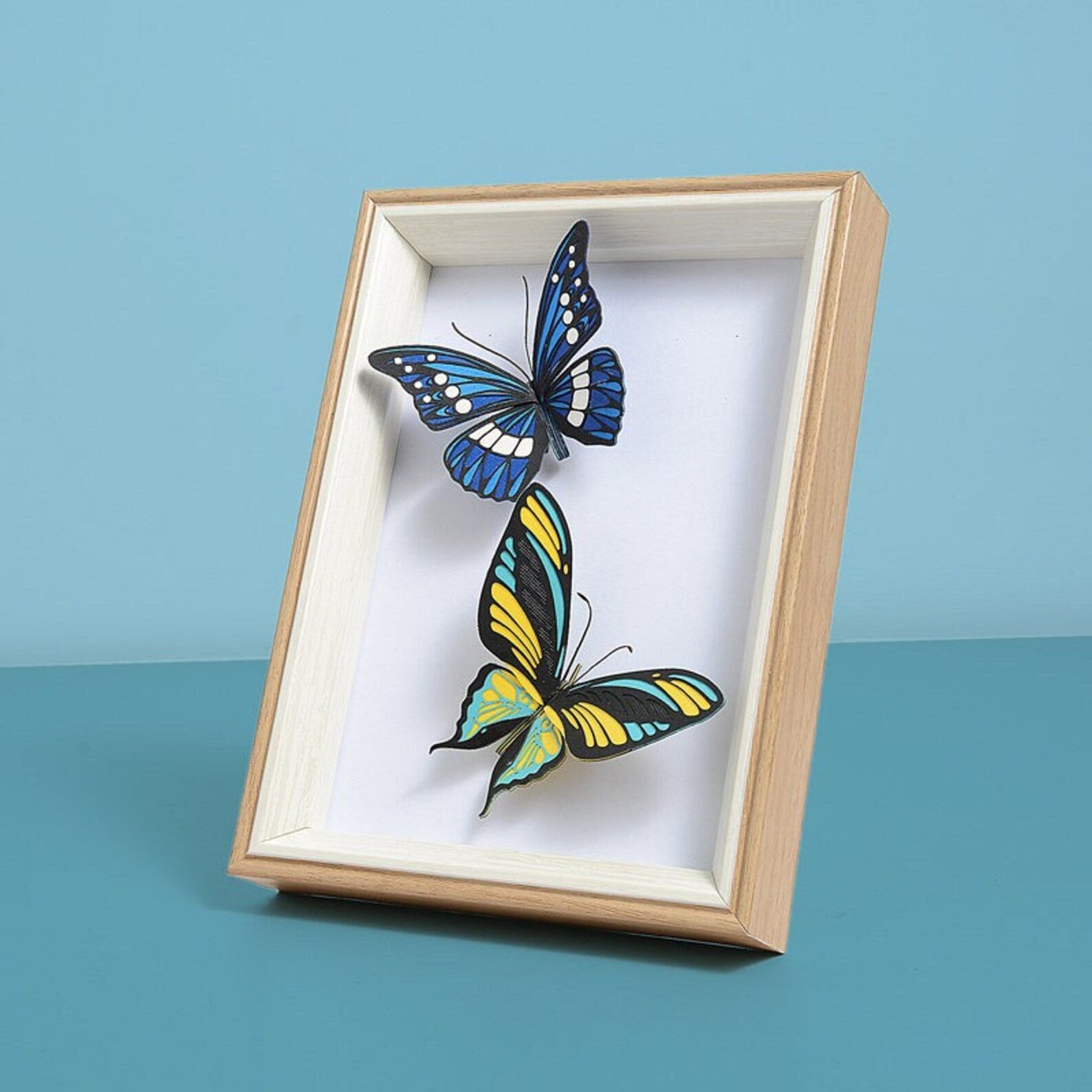 HowCat™Morpho Helena - Higoods
