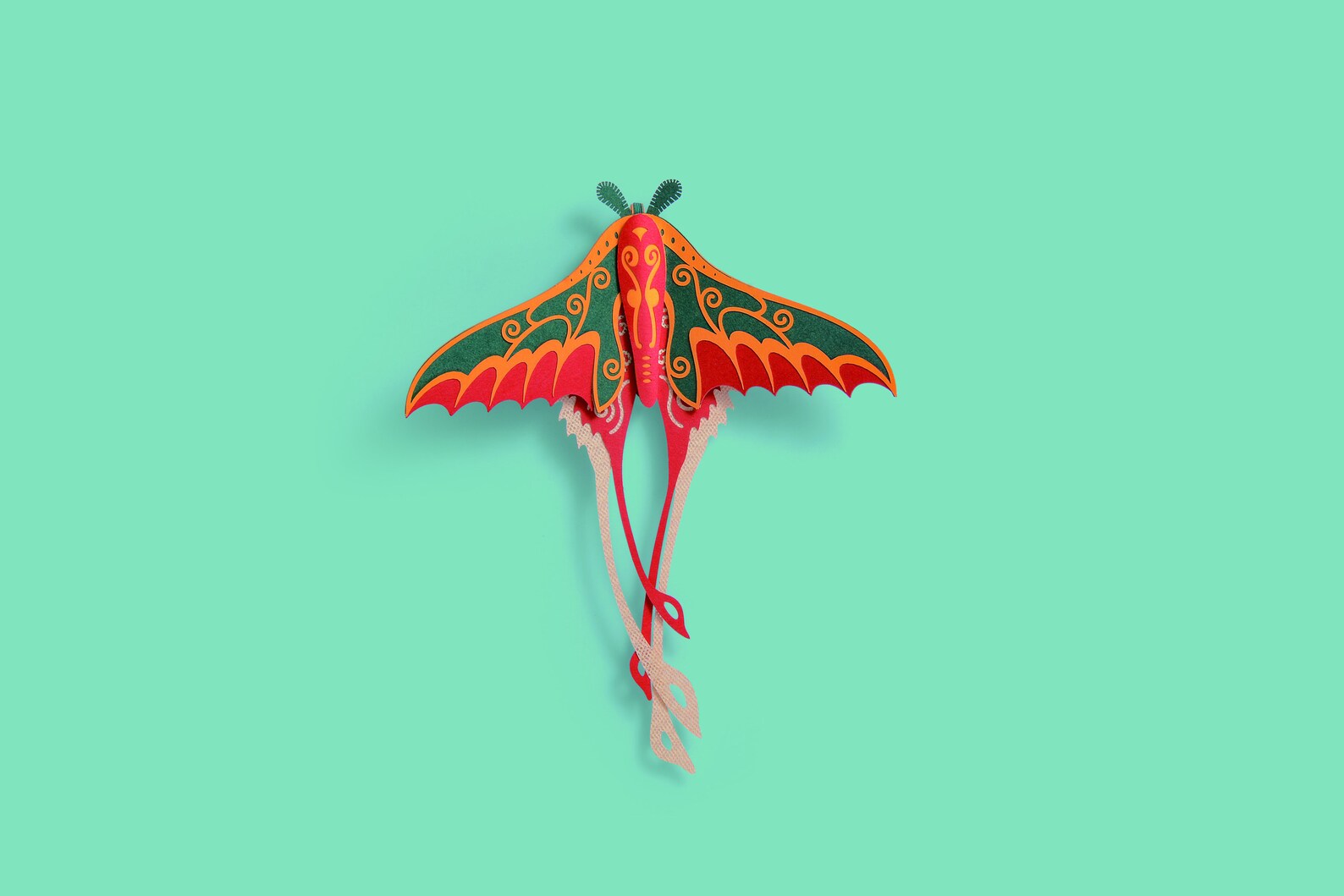 HowCat™Actias Ningpoana - Higoods