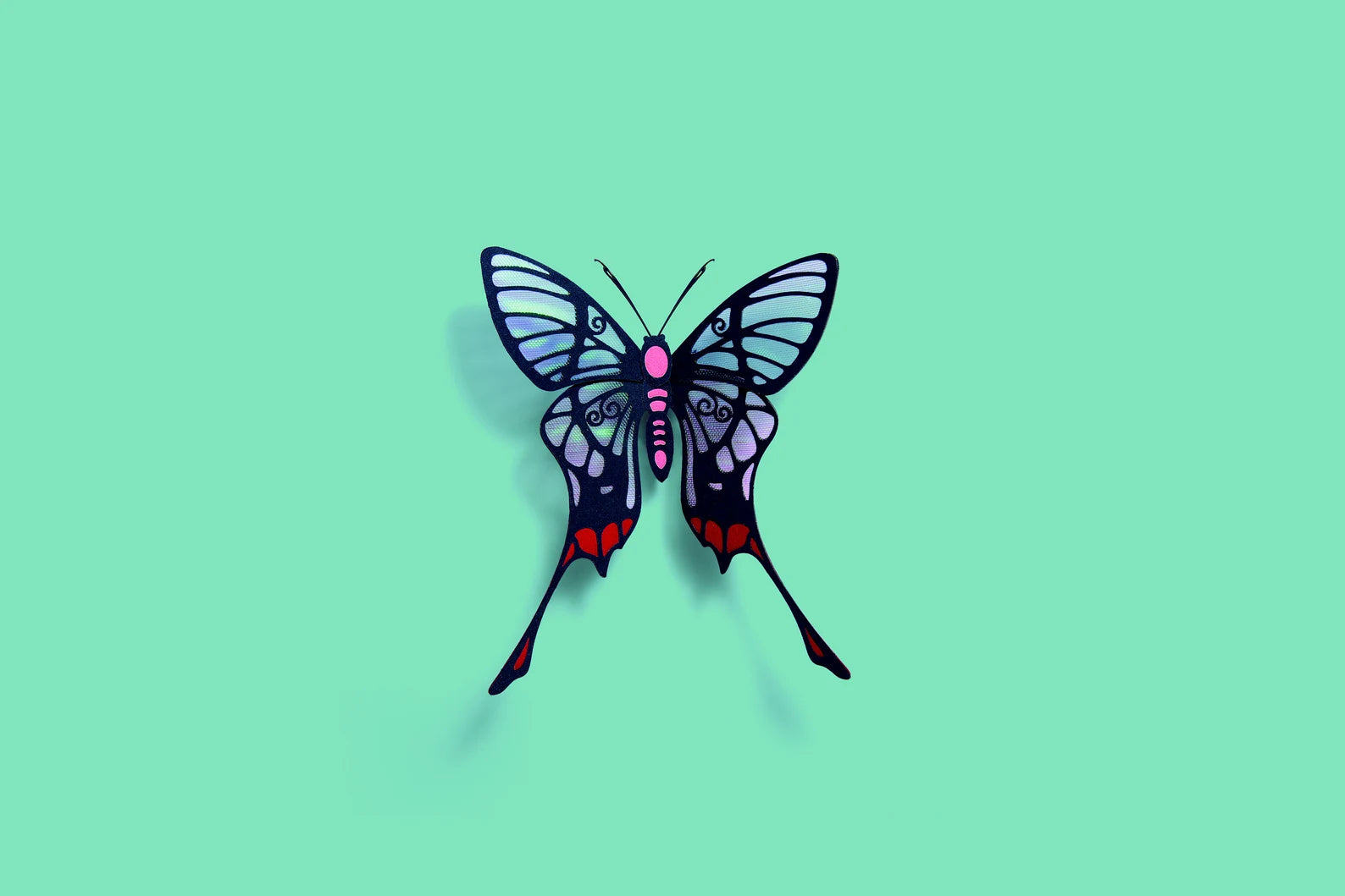 HowCat™Morpho Helena Version 2 - Higoods